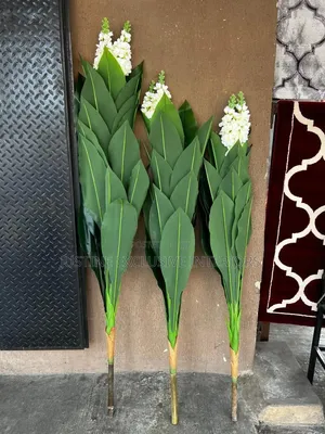 Premium Artificial Plants for Home & Office Decor