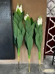 Premium Artificial Plants for Home & Office Decor - 2
