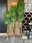 Premium Artificial Plants for Home & Office Decor - 3