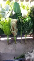 Premium Artificial Plants for Home & Office Decor - 4