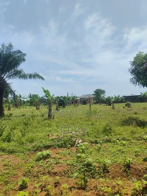 Acre 2 na Ƙasa Mai Shinge don Siyarwa, Onibuku, Ota