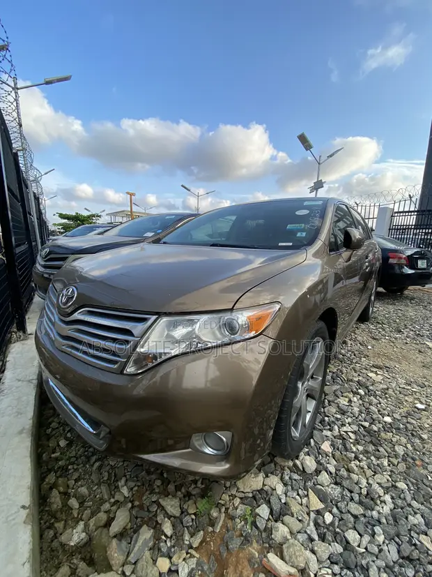 Toyota Venza 2009 Brown - 1