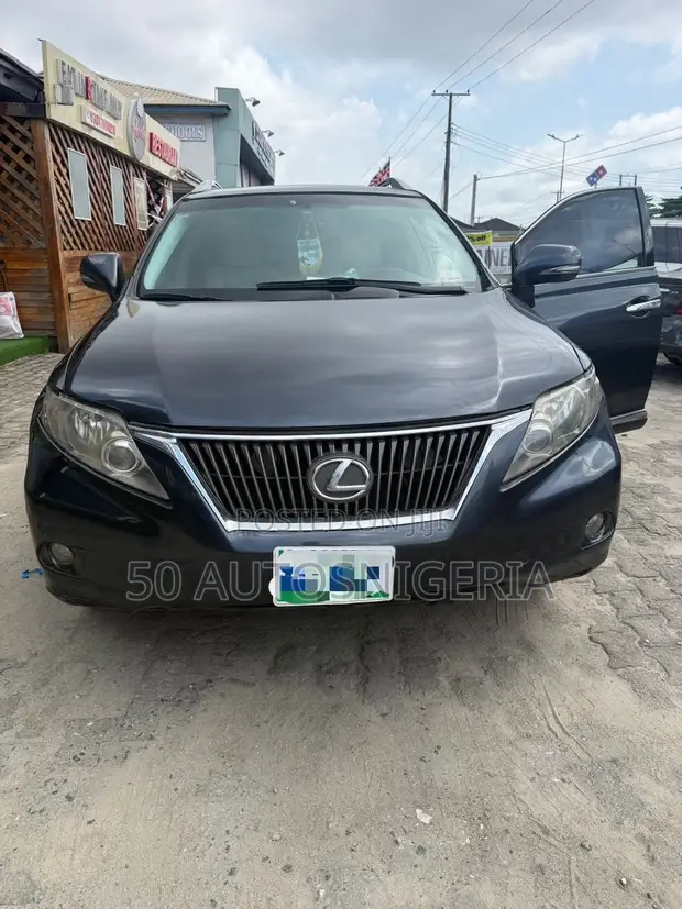 Lexus RX 2010 Blue - 1