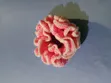 Crochet Scrunchies / Hair Packers - 2