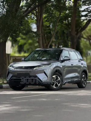 BYD Yuan Up 2024 Gray
