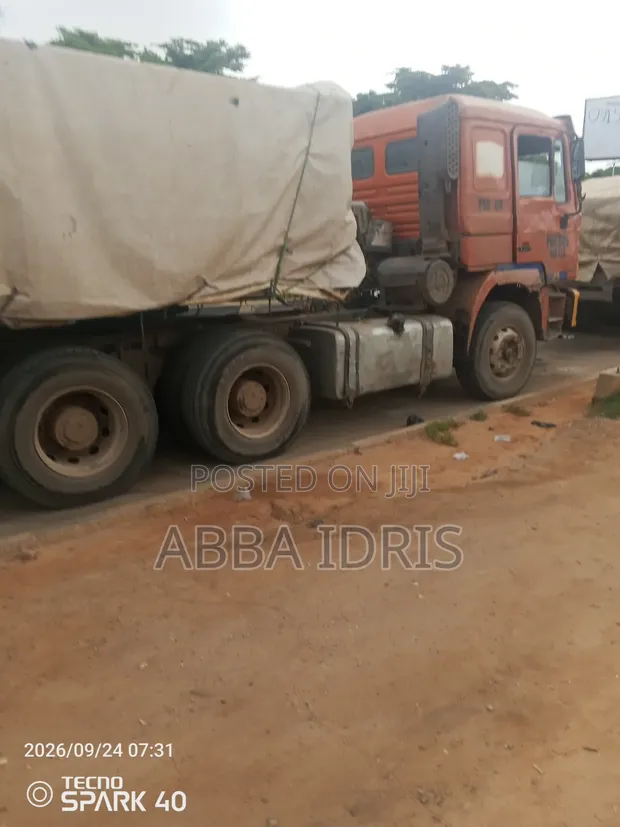 BUA Cement & Dangote Cement - 50kg Bags - 1