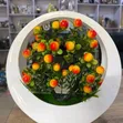 Artificial Fruit Tree Decor in Round Wooden Frame - 1