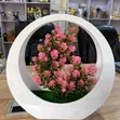 Artificial Fruit Tree Decor in Round Wooden Frame - 2