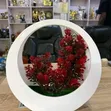 Artificial Fruit Tree Decor in Round Wooden Frame - 3