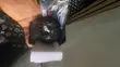 Casio G-Shock Watch - 3