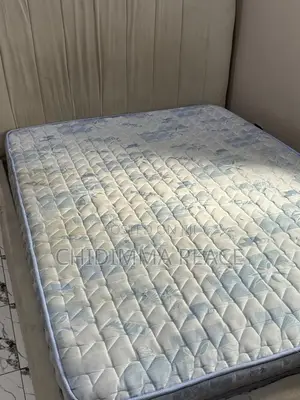 Home Interiors Orthopedic Bed and Mattress (4x6)
