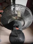 Ox Fan Na B/Da A Sayarwa A Kubwa - 1