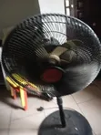 Ox Fan Na B/Da A Sayarwa A Kubwa - 2