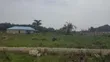 3 Plots na Ƙasa don Siyarwa/Rantse a Gberigbe, Ikorodu - 2