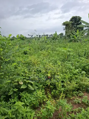 Acre 14 na Filin Noma don Hayar Aikin Gona a Ido, Ibadan