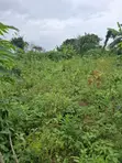 Acre 14 na Filin Noma don Hayar Aikin Gona a Ido, Ibadan - 3