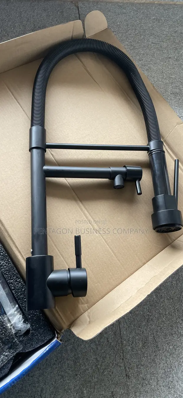Black Spring Kitchen Tap - Dual Outlet - 1