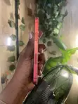 Apple iPhone 12 64GB Red (Used, Cracked Screen) - 2