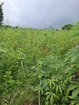 14 Acres Farmland for Rent in Ido, Ibadan