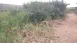 Over Half Plot Land with Uncompleted Mini Flats - 2