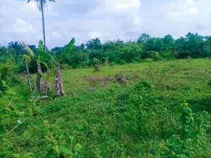Residential Land with Registered Survey in Alabata, Moniya