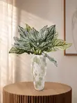 The Quiet Bloom Vase - Kayi Na Zamani - 1