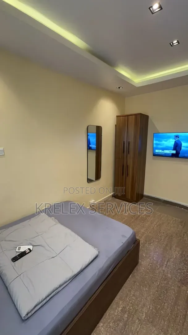 Furnished 1-Bedroom Apartment for Rent in Lagos Island - 1