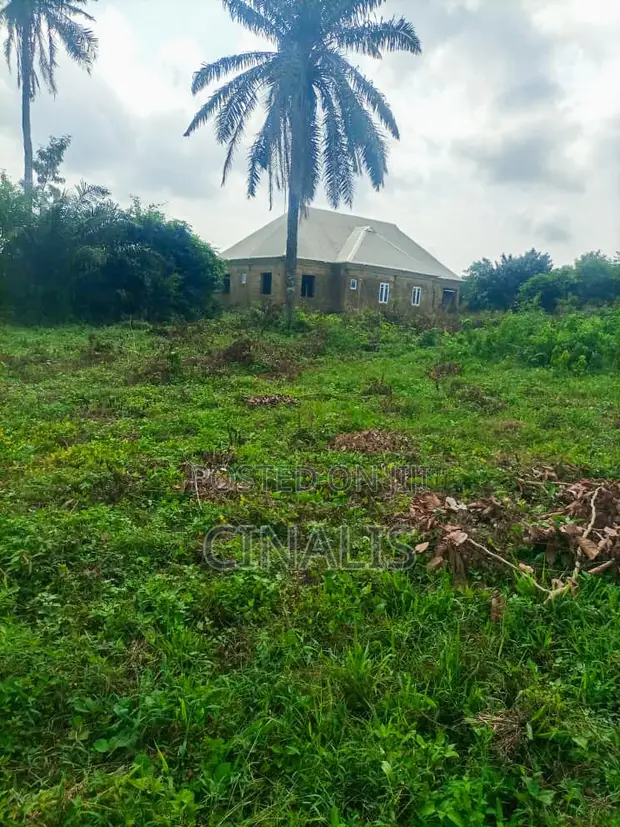 Affordable Residential Land for Sale in Moniya, Ibadan - 1