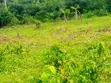 Affordable Residential Land for Sale in Moniya, Ibadan - 2