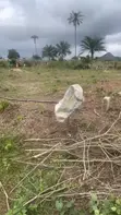 Residential Plot of Land, 100ft x 200ft, Urhokwosa - 2