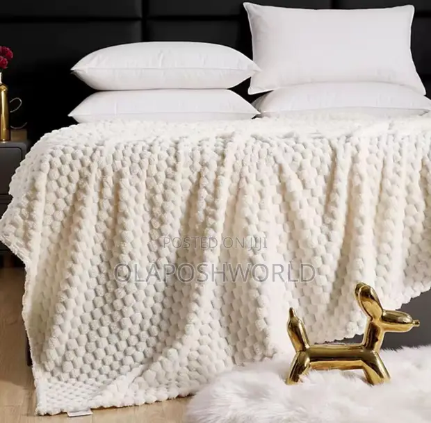 Cozy Off-White Blanket - 1