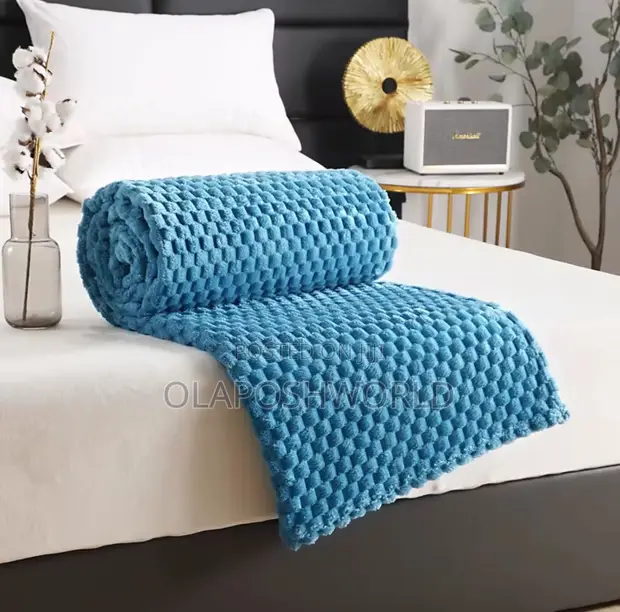 Home Interiors Blueish Soft Cozy Blanket - 1