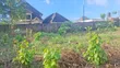 1.5 Plots Ƙasar Zama Don Siyarwa, Hospital Estate, PHC - 3
