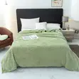 Mint Soft Cashmere Blanket - 2