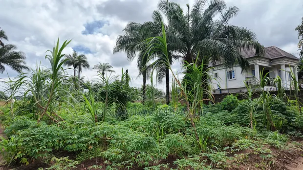 Filin 6 Don Siyarwa a Umuahia - 1