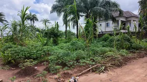 Filin 6 Don Siyarwa a Umuahia
