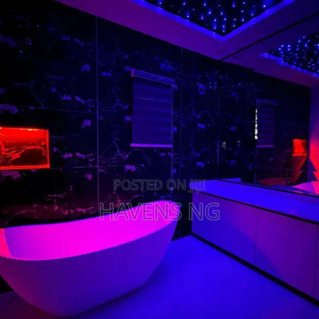 Deluxe 2-Bedroom Apartment with Private Cinema & Bathtub in Chevron, Lekki - 1