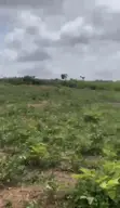 Hekta 5 na Filaye don Siyarwa, Maitama 2 (FCDA C of O) - 2