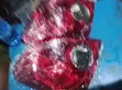 Brand New Tail Light for Toyota Corolla 2003-2005 - 2
