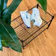 Premium Nike Vomero Plus Zoom X Sneakers - 5