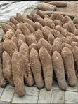 Sweet White Yam - Very Big - 2
