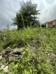 1500sqm Filin Zama a Gwarimpa Estate, Abuja - 4