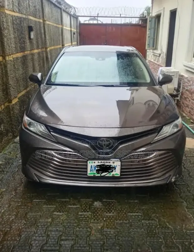 Toyota Camry XLE 2019 Grey - 1