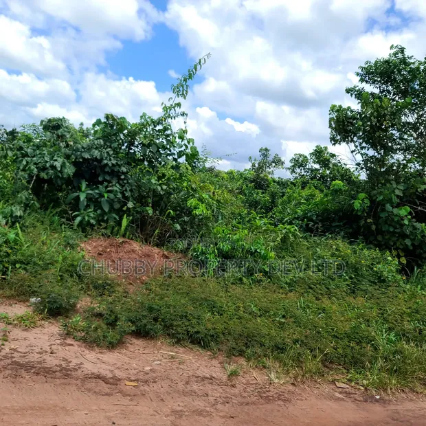 2 Plots of Land for Sale in Afara Ohokobe, Umuahia - 1