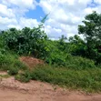 2 Plots na Ƙasa don Siyarwa a Afara Ohokobe, Umuahia - 1