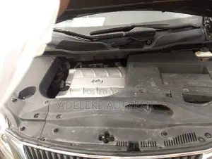 Lexus RX 350 2010 Gray SUV