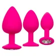 Icon Silicone Butt Plug Set - 2