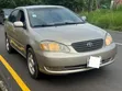 Toyota Corolla LE 2006 Gold - 5