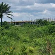 Residential Land for Sale in Amaoba Housing Estate, Umuahia - 1