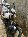 New Qlink XP 200 Dual Sport Motorcycle (2026 Model) - 1